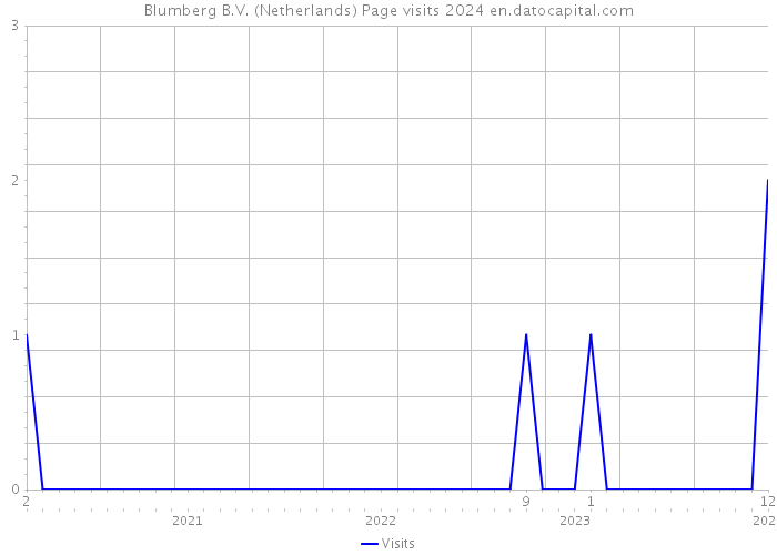 Blumberg B.V. (Netherlands) Page visits 2024 