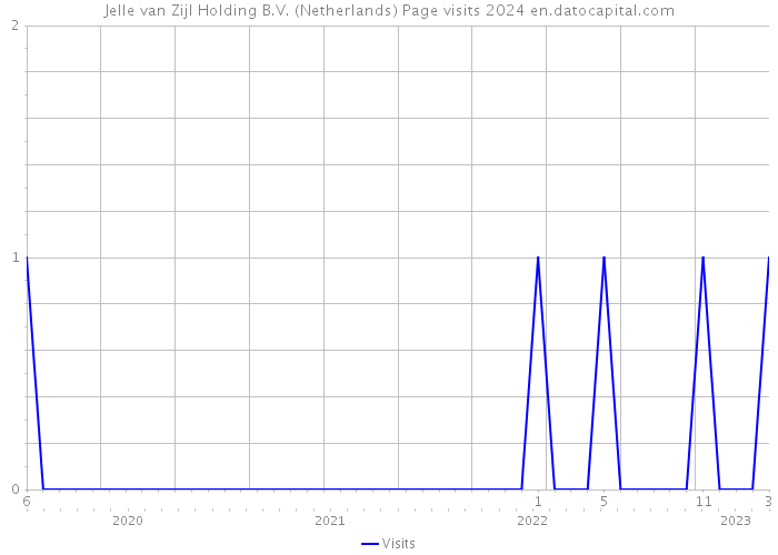 Jelle van Zijl Holding B.V. (Netherlands) Page visits 2024 