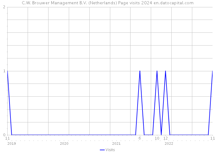 C.W. Brouwer Management B.V. (Netherlands) Page visits 2024 