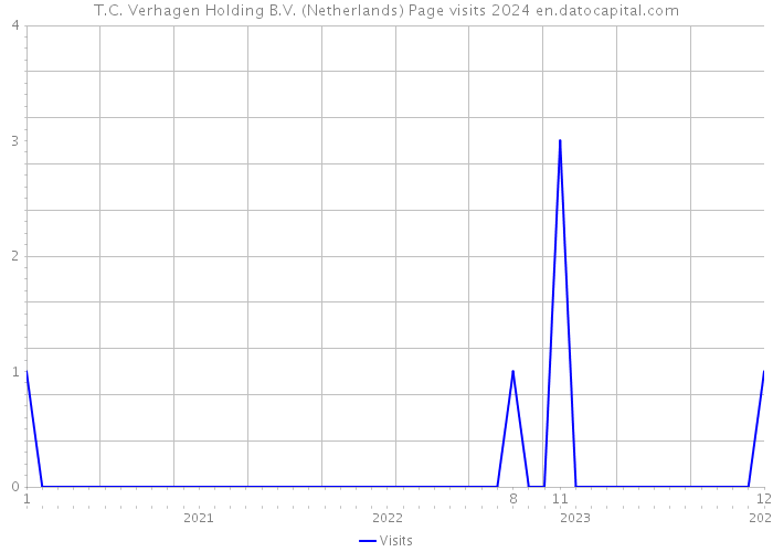 T.C. Verhagen Holding B.V. (Netherlands) Page visits 2024 