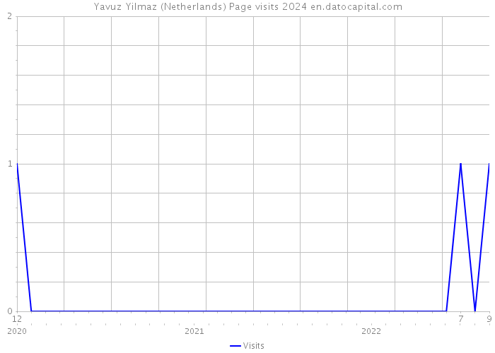 Yavuz Yilmaz (Netherlands) Page visits 2024 