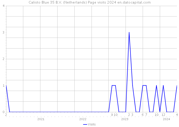 Calisto Blue 35 B.V. (Netherlands) Page visits 2024 