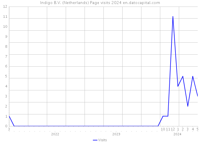 Indigo B.V. (Netherlands) Page visits 2024 