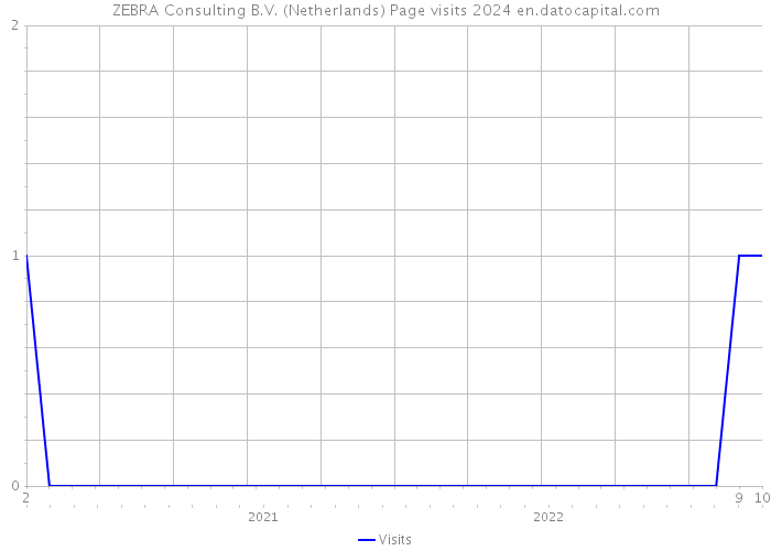 ZEBRA Consulting B.V. (Netherlands) Page visits 2024 