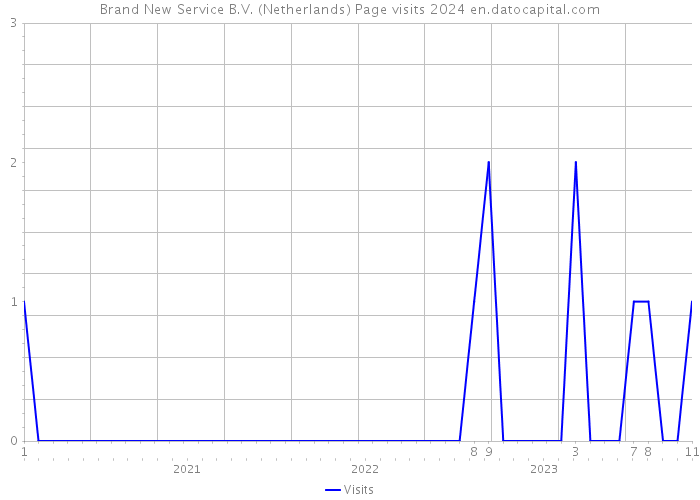 Brand New Service B.V. (Netherlands) Page visits 2024 