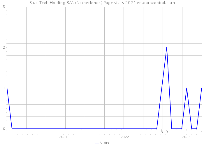 Blue Tech Holding B.V. (Netherlands) Page visits 2024 