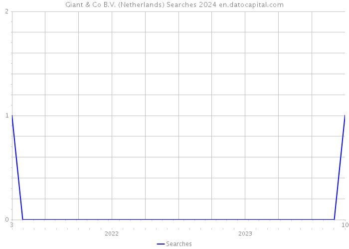 Giant & Co B.V. (Netherlands) Searches 2024 