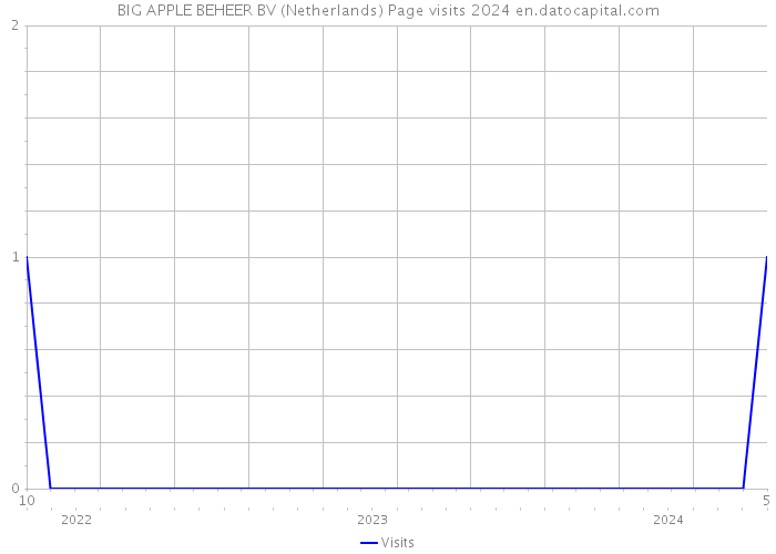 BIG APPLE BEHEER BV (Netherlands) Page visits 2024 
