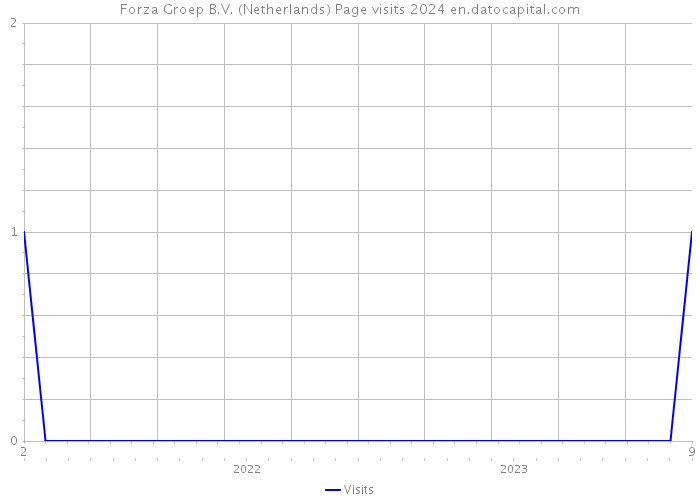 Forza Groep B.V. (Netherlands) Page visits 2024 