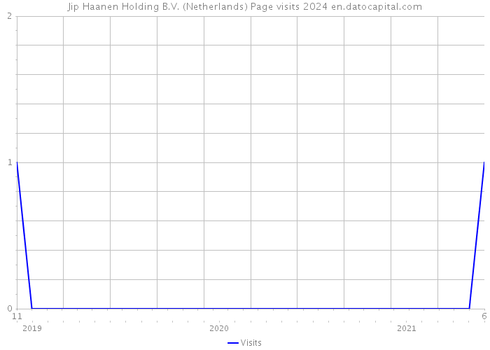 Jip Haanen Holding B.V. (Netherlands) Page visits 2024 