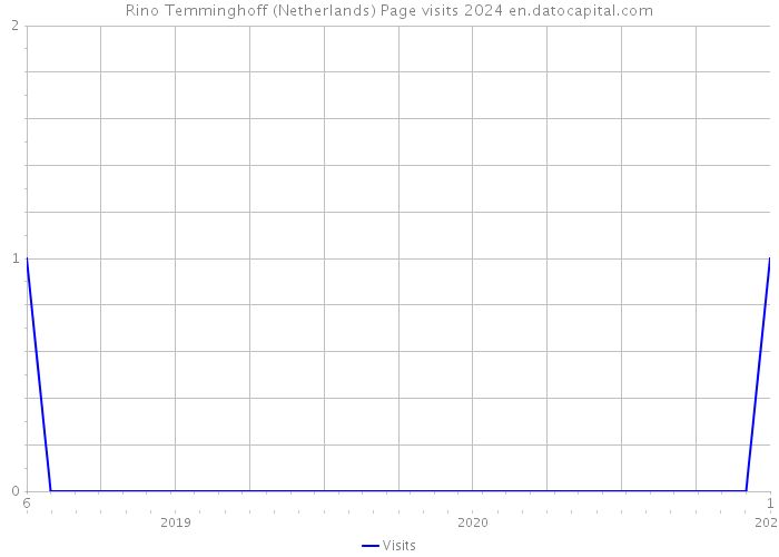 Rino Temminghoff (Netherlands) Page visits 2024 