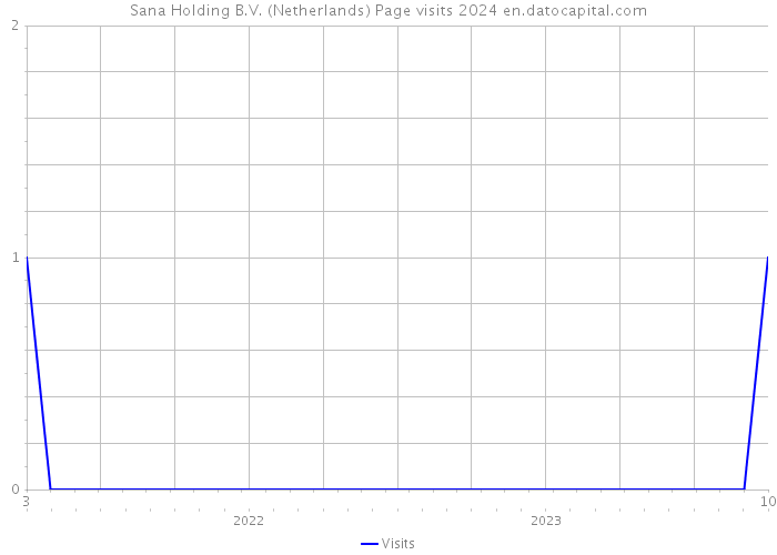 Sana Holding B.V. (Netherlands) Page visits 2024 