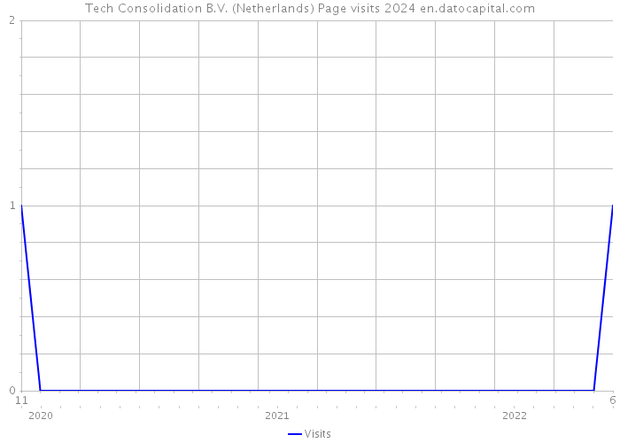 Tech Consolidation B.V. (Netherlands) Page visits 2024 