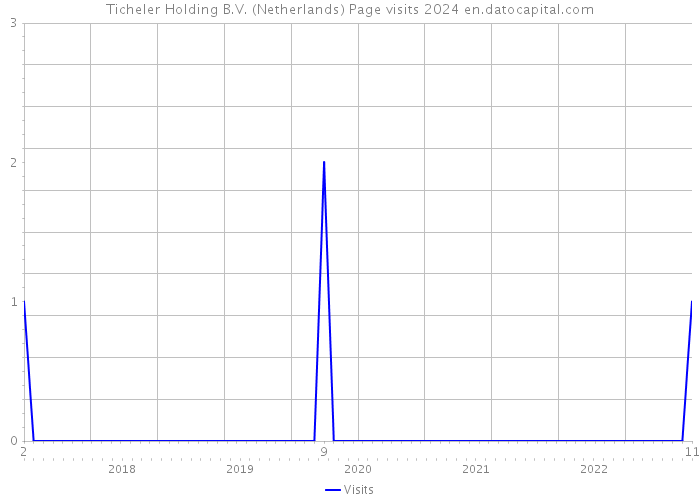Ticheler Holding B.V. (Netherlands) Page visits 2024 