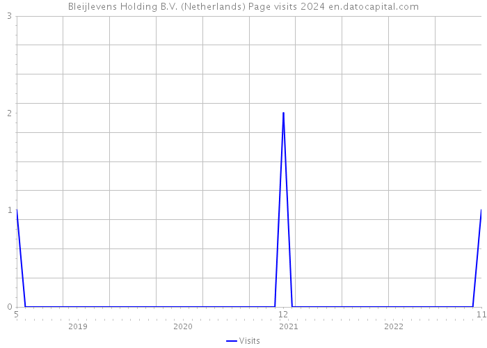 Bleijlevens Holding B.V. (Netherlands) Page visits 2024 