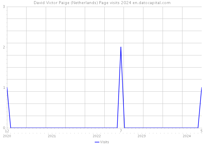 David Victor Paige (Netherlands) Page visits 2024 