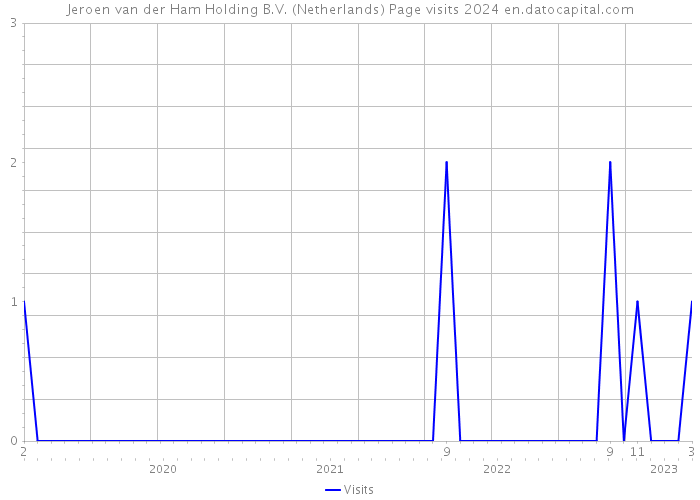 Jeroen van der Ham Holding B.V. (Netherlands) Page visits 2024 