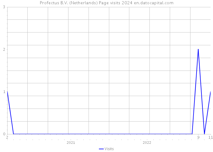 Profectus B.V. (Netherlands) Page visits 2024 