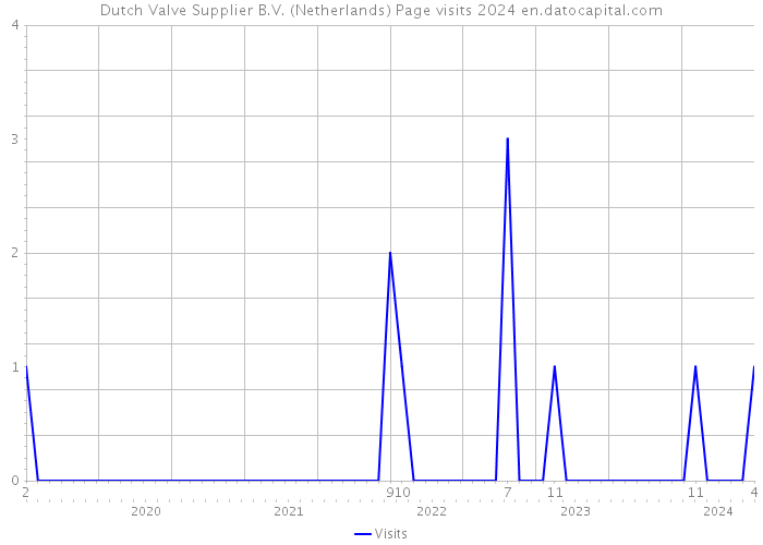 Dutch Valve Supplier B.V. (Netherlands) Page visits 2024 