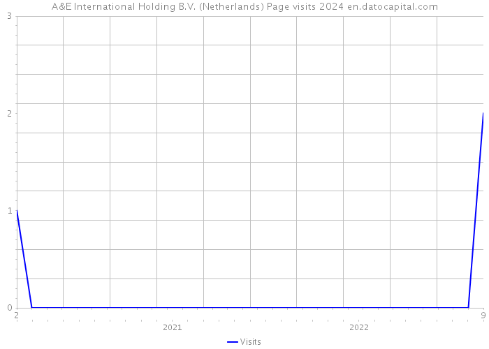 A&E International Holding B.V. (Netherlands) Page visits 2024 