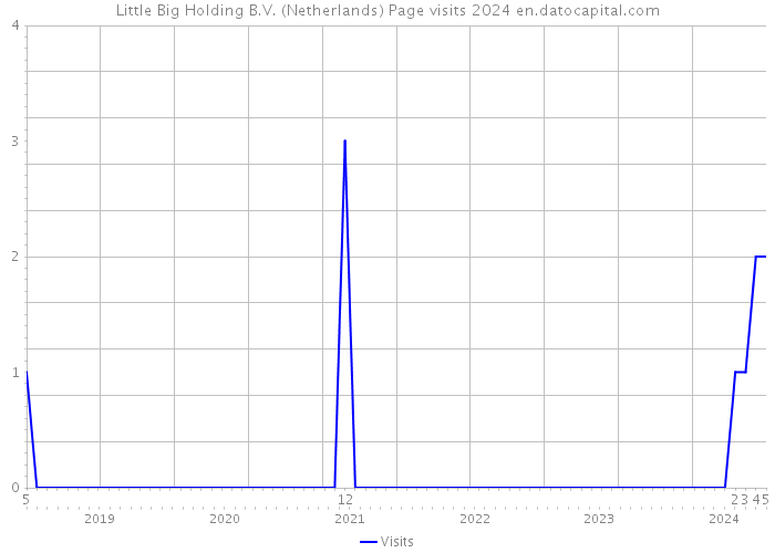 Little Big Holding B.V. (Netherlands) Page visits 2024 