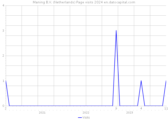 Maning B.V. (Netherlands) Page visits 2024 