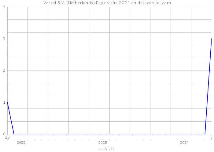 Versal B.V. (Netherlands) Page visits 2024 