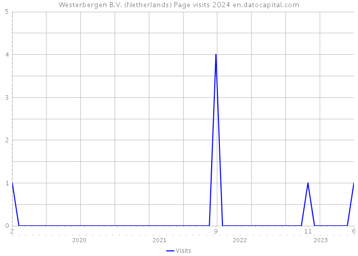 Westerbergen B.V. (Netherlands) Page visits 2024 