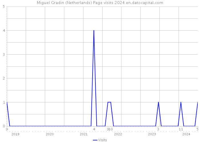 Miguel Gradin (Netherlands) Page visits 2024 