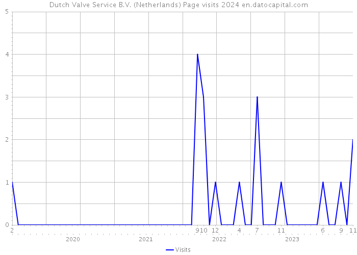 Dutch Valve Service B.V. (Netherlands) Page visits 2024 