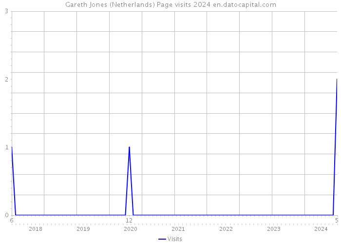 Gareth Jones (Netherlands) Page visits 2024 