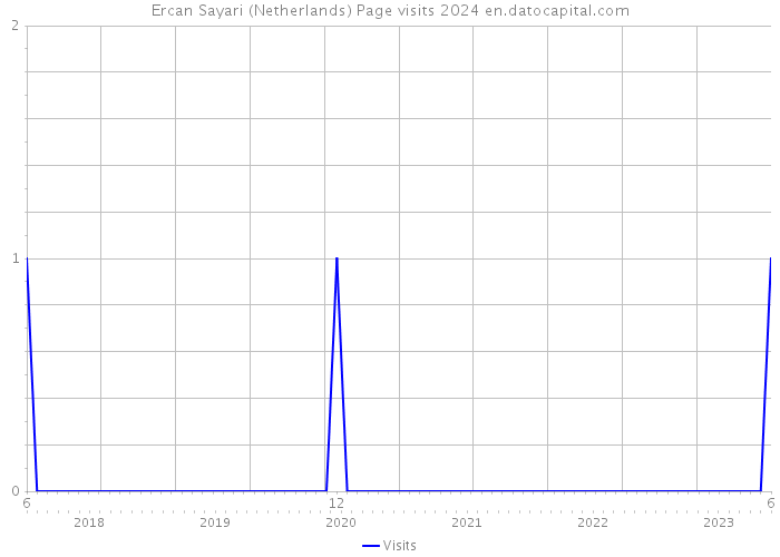 Ercan Sayari (Netherlands) Page visits 2024 