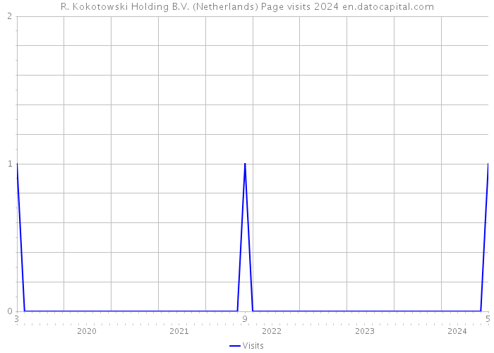 R. Kokotowski Holding B.V. (Netherlands) Page visits 2024 