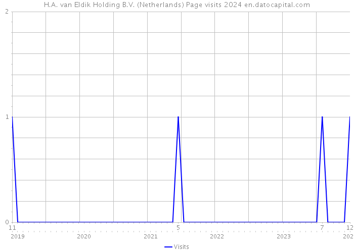 H.A. van Eldik Holding B.V. (Netherlands) Page visits 2024 