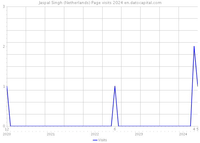 Jaspal Singh (Netherlands) Page visits 2024 
