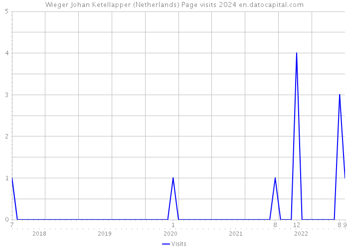 Wieger Johan Ketellapper (Netherlands) Page visits 2024 