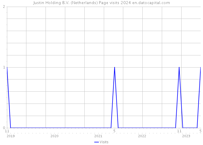 Justin Holding B.V. (Netherlands) Page visits 2024 
