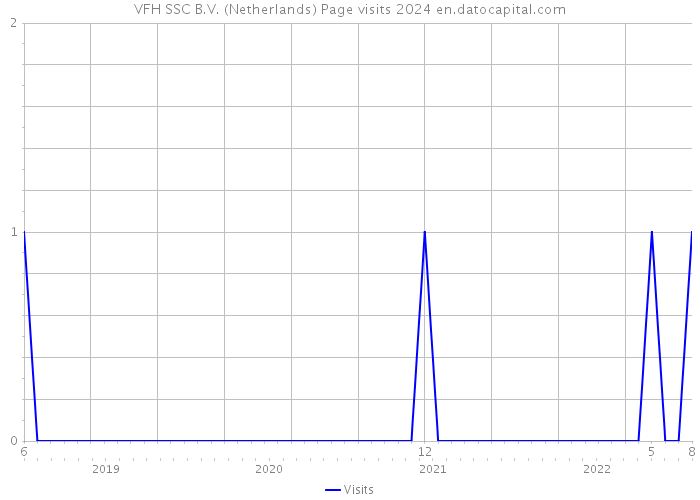 VFH SSC B.V. (Netherlands) Page visits 2024 