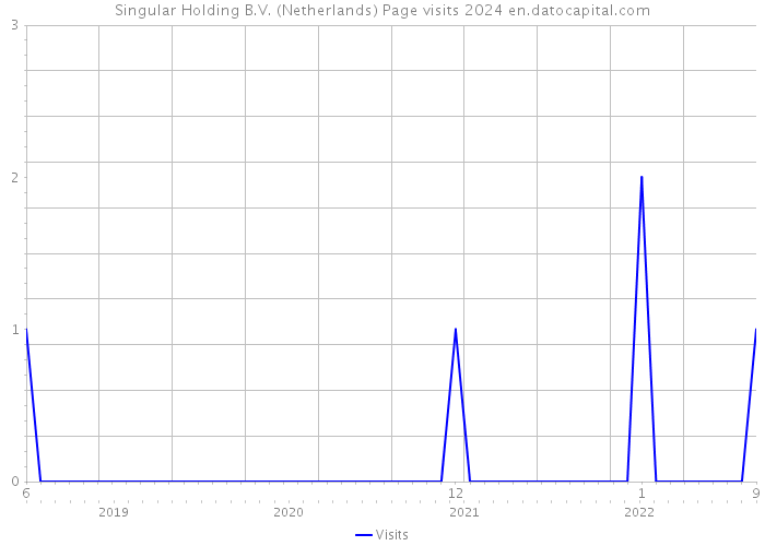 Singular Holding B.V. (Netherlands) Page visits 2024 