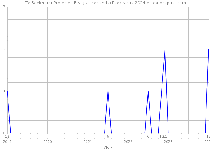 Te Boekhorst Projecten B.V. (Netherlands) Page visits 2024 