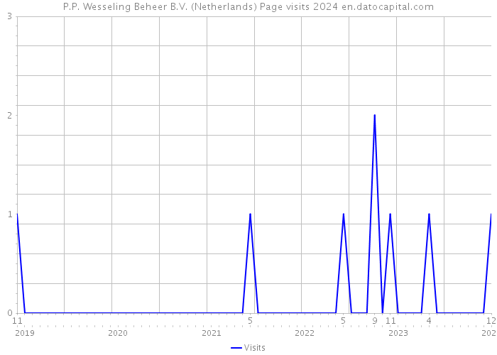 P.P. Wesseling Beheer B.V. (Netherlands) Page visits 2024 