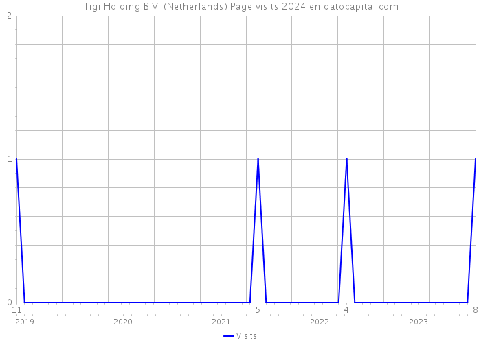 Tigi Holding B.V. (Netherlands) Page visits 2024 