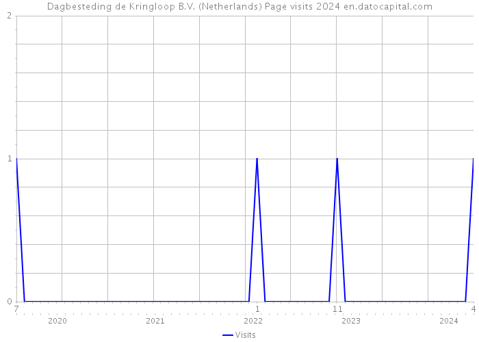 Dagbesteding de Kringloop B.V. (Netherlands) Page visits 2024 