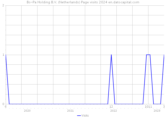Bo-Pa Holding B.V. (Netherlands) Page visits 2024 