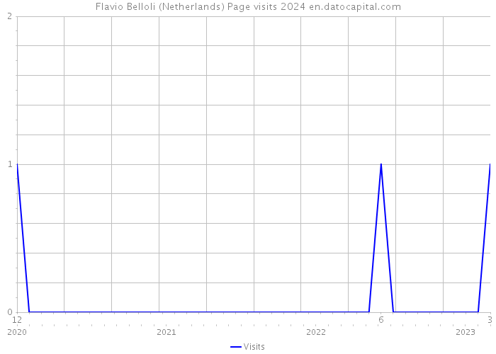 Flavio Belloli (Netherlands) Page visits 2024 