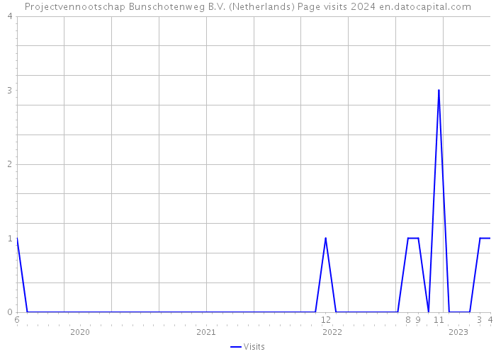 Projectvennootschap Bunschotenweg B.V. (Netherlands) Page visits 2024 