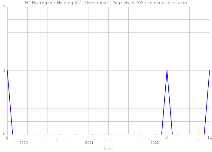 H2 Hydrogenic Holding B.V. (Netherlands) Page visits 2024 