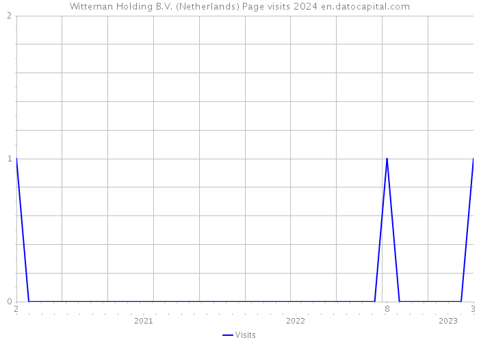 Witteman Holding B.V. (Netherlands) Page visits 2024 