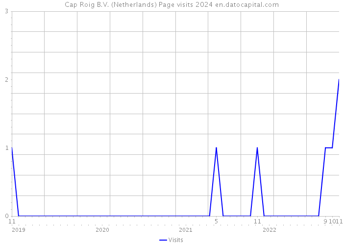 Cap Roig B.V. (Netherlands) Page visits 2024 