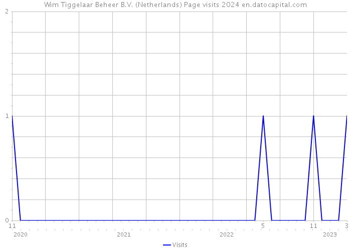 Wim Tiggelaar Beheer B.V. (Netherlands) Page visits 2024 